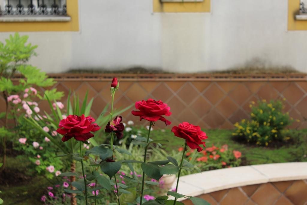 Apartamento Jardin De La Ribera. Cordoba Exterior photo